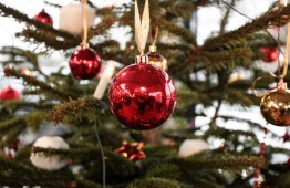 OpenHouse_Nicolaus_11.12.2010-8679