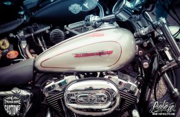 Jokerfest 2017 WEB by Dirk Behlau-3234