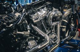 Late Summer Open House by BEN OTT-2