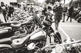 Late Summer Open House by BEN OTT-29