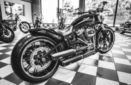 Late Summer Open House by BEN OTT-80