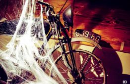 rh_halloween_2016_bybenott-3