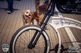 Thunder-&-Rumble-2017-by-Dirk-Behlau-1187