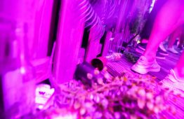 Thunderbike-Rooftop-Vibes-4-2019-Foto-©-Ben-Ott-148-1920x1280