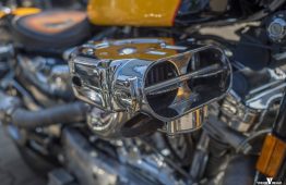 latesummer2016_verum_04