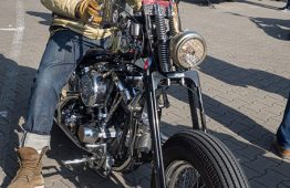 latesummer2016_verum_05