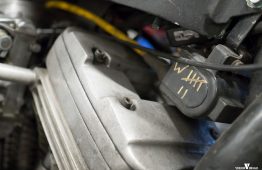 latesummer2016_verum_13