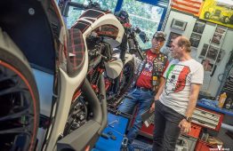 latesummer2016_verum_33