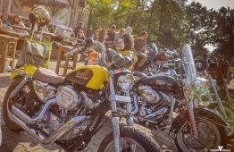 latesummer2016_verum_36