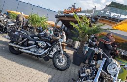 latesummer2016_verum_39