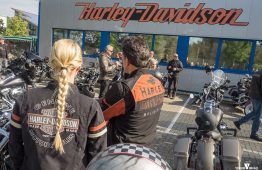 latesummer2016_verum_56