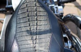 latesummer2016_verum_61