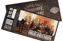 lewinsky-konzertkarte